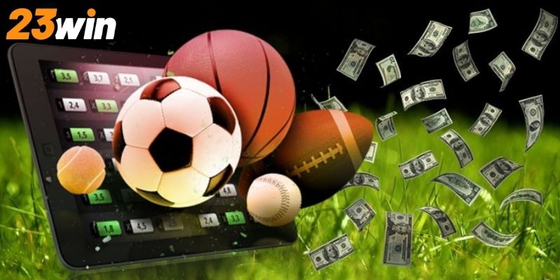 Khám phá chi tiết các thông tin thú vị về cá độ thể thao