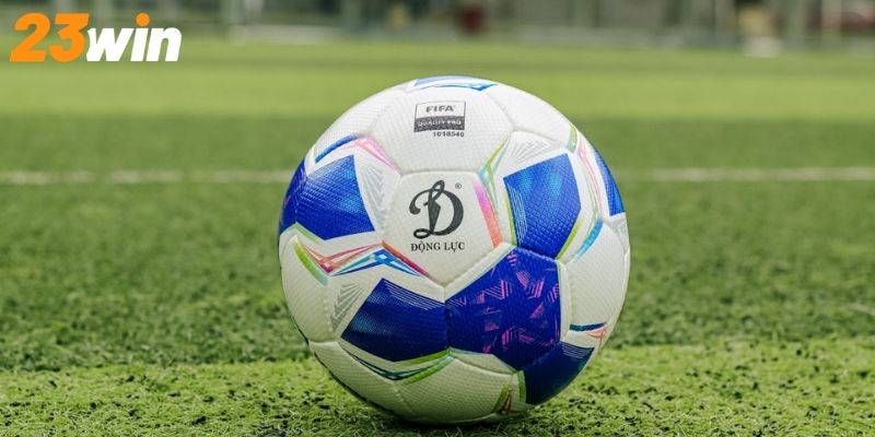 Cá cược bóng đá online