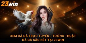 Xem đá gà trực tuyến